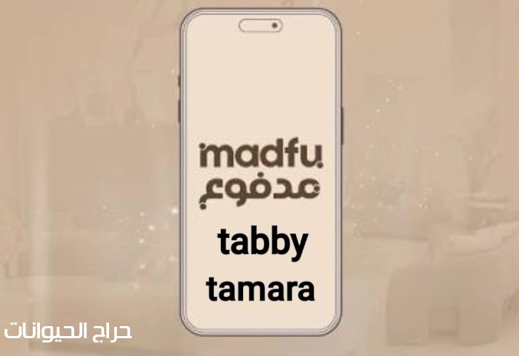 سيوله مدفوع وتمارا وتابي